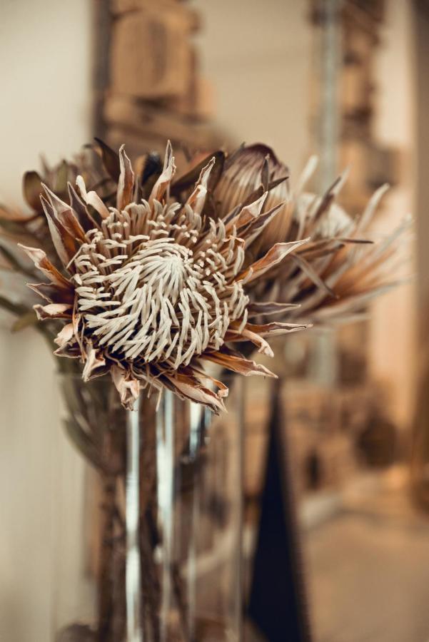 Guest house Antrim Boutique Retreat By Totalstay